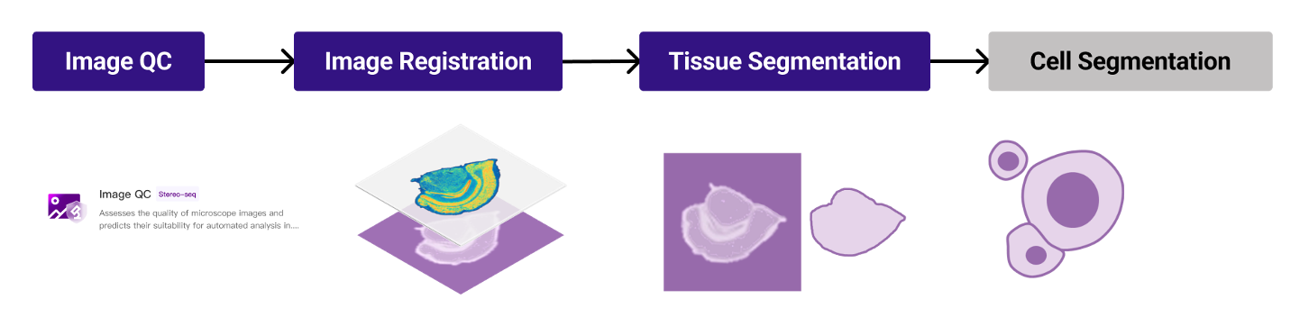 Figure 1 Stereo-seq image processing workflow